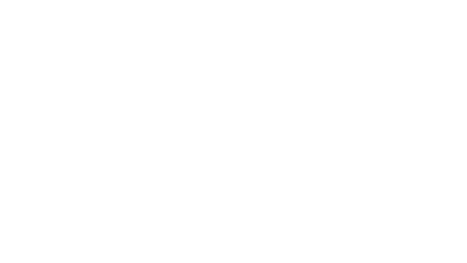 Construit pour voler